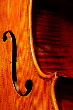 Cello's body closeup