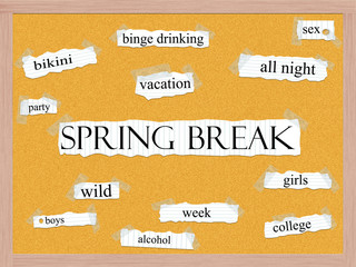 Spring Break Corkboard Word Concept