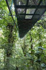 Hanging bridge Costa Rica