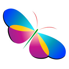 Colorful butterflies on white background for design
