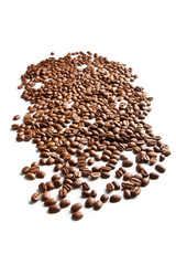 coffee beans