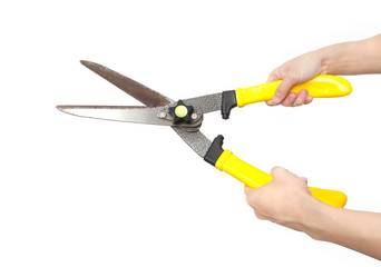 hand and rusty garden shears