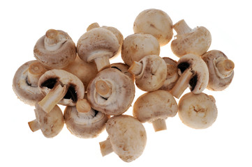 Champignons de Paris en vrac