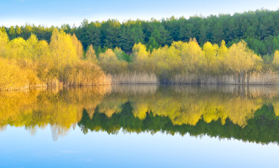 Water mirror of lake. Rural landscape