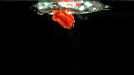 Scotch bonnet pepper dropping into water in slow motion - Powered by Adobe