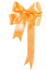 Fototapeta premium Ribbon bow