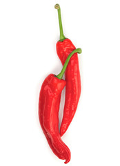Red Chili Peppers