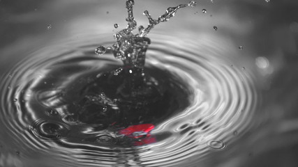 Red chili pepper falling in water in slow motion - Powered by Adobe