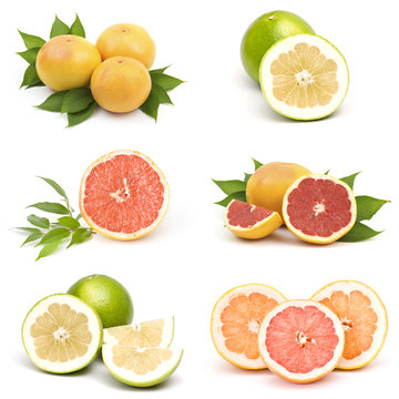 Juicy grapefruit collage