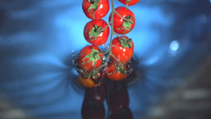 Vine tomatoes falling in water in slow motion - Powered by Adobe