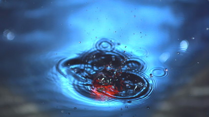 Red chili pepper falling in water in slow motion - Powered by Adobe