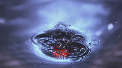 Red chili pepper falling in water in slow motion - Powered by Adobe