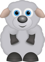 kleines graues Schaf