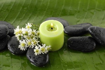 white flower and zen stones with green leaf