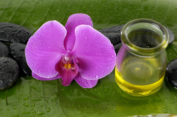 Beautiful pink orchid and massage oil on banana green leaf