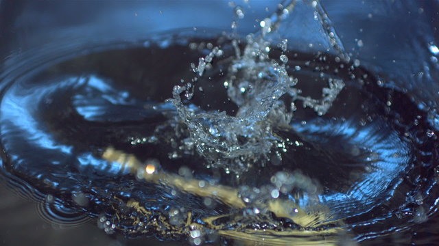 Parsnip falling into water in slow motion - Powered by Adobe