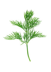 dill
