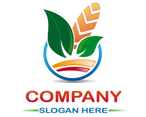 Project corn © Artstudio PF