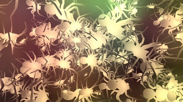 Spooky Spiders Animation