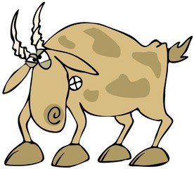 Angry Goat