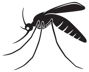 mosquito