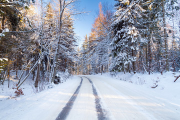 Snowy road in winter forest of Poland