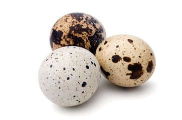 Quail eggs