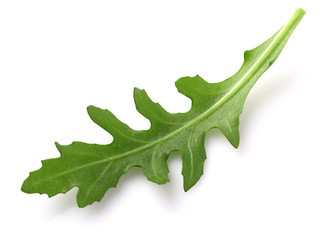 Ruccola leaf in closeup