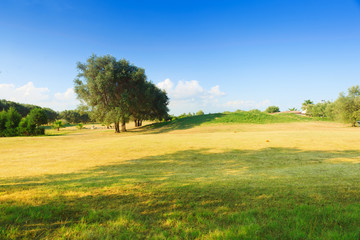 Golf course