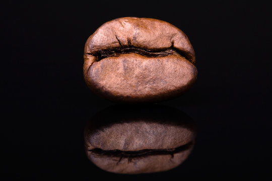 Coffee bean with reflection on black background - Powered by Adobe