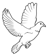 dove peace