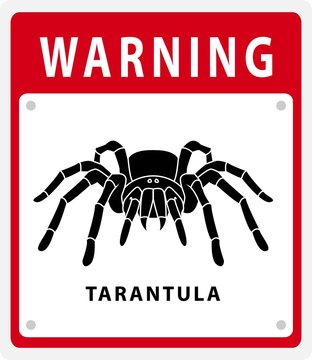 tarantula warning