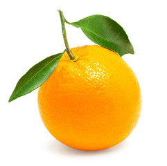 orange with leaf on white