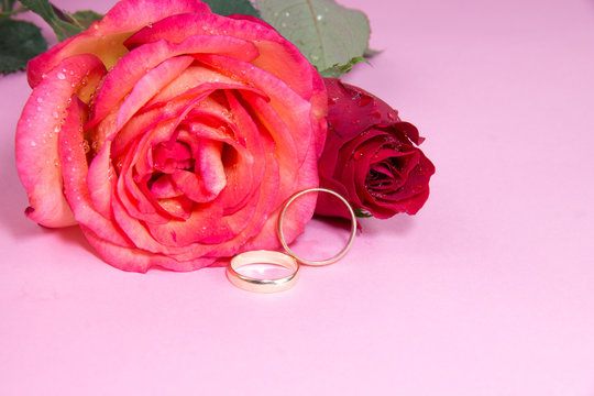 Wedding concept with rose and wedding rings