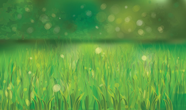 Vector of spring background with green grass.