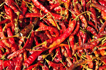 Close up of dried chilli