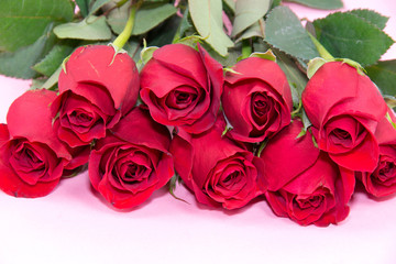 Valentine's day roses with gift