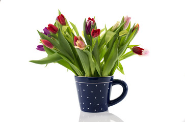 bouquet of tulips in blue coffe cup