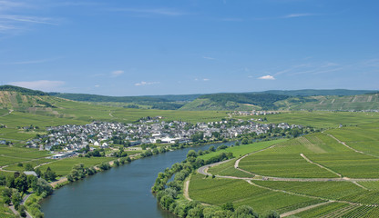 Fototapeta na wymiar Popularne wioski wina na Moselle Leiwen