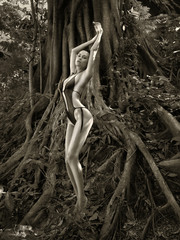 Naklejka premium Graceful lady in a mighty tree