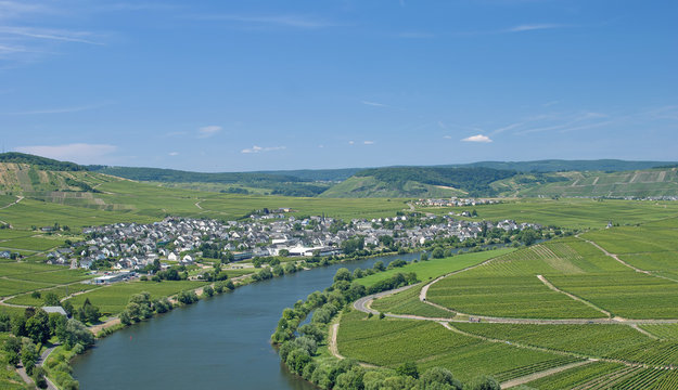 der beliebte Weinort Leiwen an der Mosel