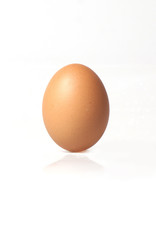 Egg