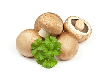 knackige champignons