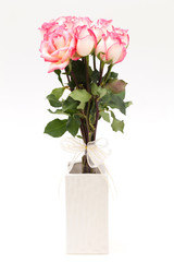 pink nicole rose in white vase