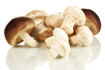 Fresh mushrooms isolated on white