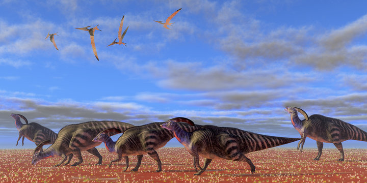 Parasaurolophus Desert
