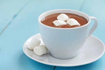 Hot chocolate with marshmallows