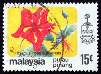 Naklejka premium Postage stamp Malaysia 1986 Rose Mallow, Hibiscus
