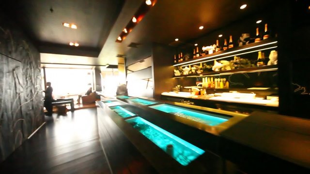 Aquariums with oysters are built in bar counter