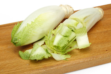 Endive